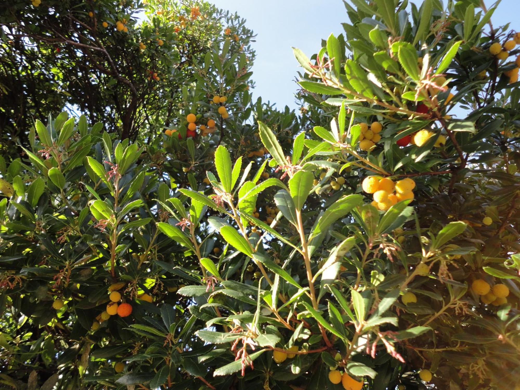 Ferienwohnung Maderno Affoltern Am Albis エクステリア 写真